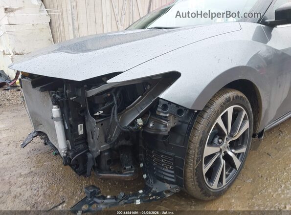 1N4AA6AP9GC404493 2016 NISSAN MAXIMA Серый 