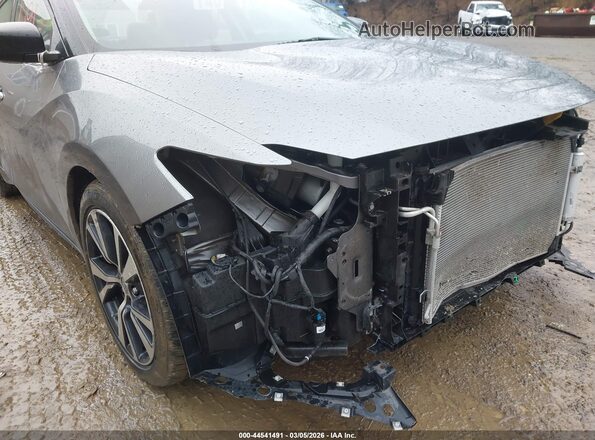 1N4AA6AP9GC404493 2016 NISSAN MAXIMA Серый 