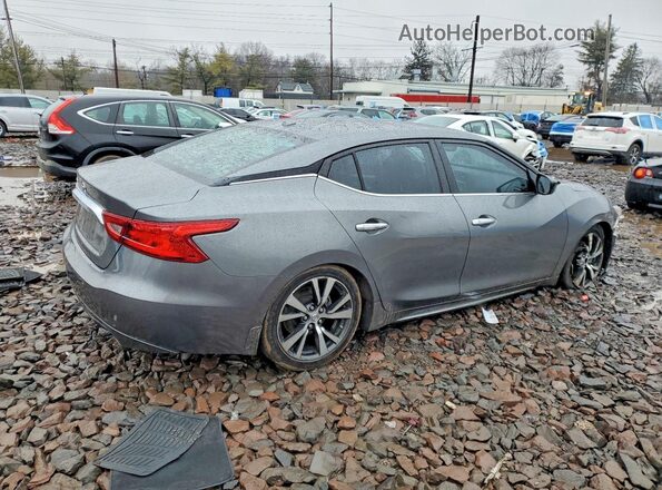1N4AA6APXHC430523 2017 NISSAN MAXIMA Gray Հետևի աջ
