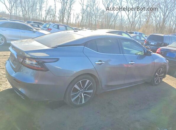 1N4AA6CV1PC510433 2023 NISSAN MAXIMA Gray Trasero derecho