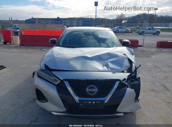 1N4AA6CV1PC513008 2023 NISSAN MAXIMA Gray უკანა სალონის ხედი