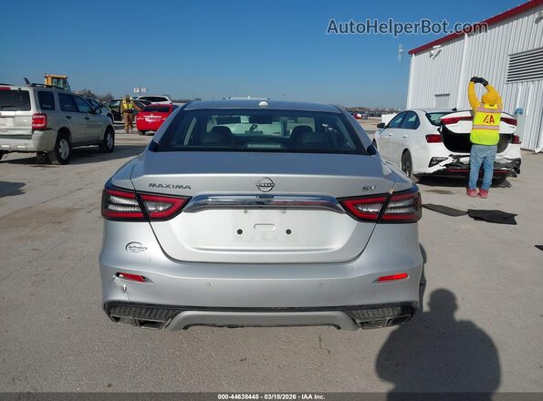1N4AA6CV1PC513008 2023 NISSAN MAXIMA Gray 