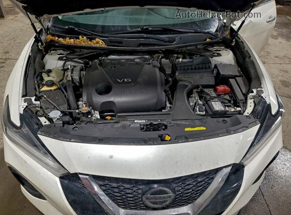 1N4AA6CV5MC513962 2021 NISSAN MAXIMA White Սալոնի հետևի տեսք