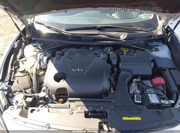 1N4AA6CV6PC505602 2023 NISSAN MAXIMA Silver Հետևի տեսք