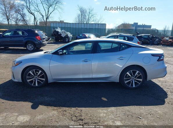 1N4AA6CV6PC505602 2023 NISSAN MAXIMA Silver Սալոնի հետևի տեսք