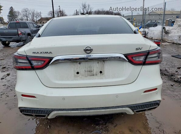 1N4AA6CV8MC503801 2021 NISSAN MAXIMA Белый 