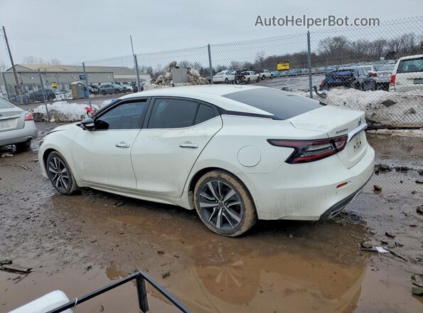 1N4AA6CV8MC503801 2021 NISSAN MAXIMA Белый 