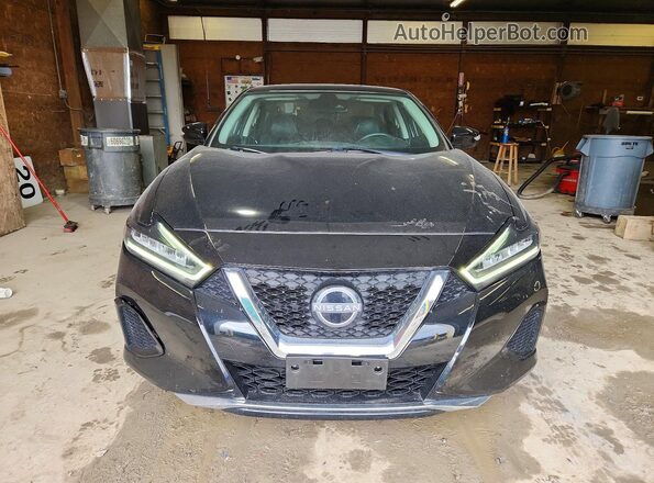 1N4AA6CV8PC511353 2023 NISSAN MAXIMA Black 