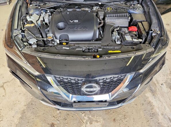 1N4AA6CV8PC511353 2023 NISSAN MAXIMA Black 