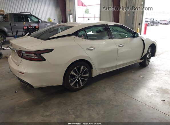 1N4AA6CV9PC510728 2023 NISSAN MAXIMA White Հետևի աջ