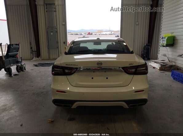 1N4AA6CV9PC510728 2023 NISSAN MAXIMA White 