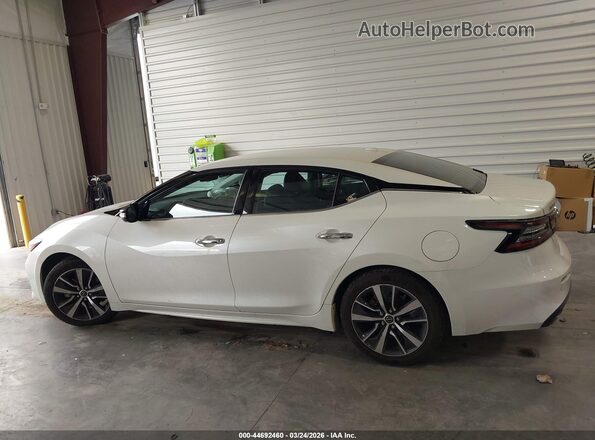 1N4AA6CV9PC510728 2023 NISSAN MAXIMA White Սալոնի 360 աստիճան տեսք