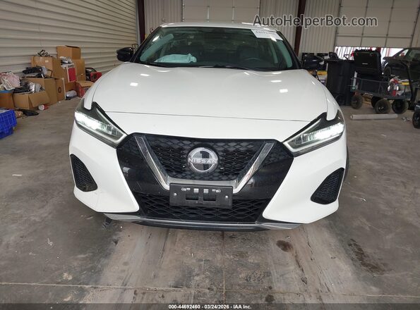 1N4AA6CV9PC510728 2023 NISSAN MAXIMA White Սարքավորումների վահանակի տեսք