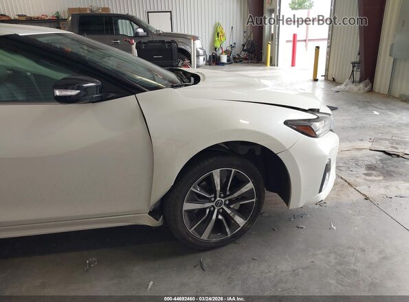1N4AA6CV9PC510728 2023 NISSAN MAXIMA White Դիմացի տեսք