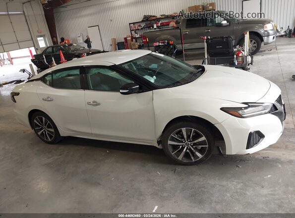 1N4AA6CV9PC510728 2023 NISSAN MAXIMA White Սալոնի հետևի տեսք