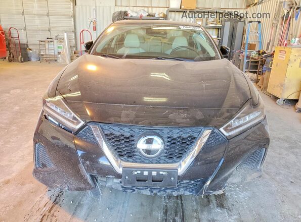 1N4AA6CV9PC511541 2023 NISSAN MAXIMA Black Դիմացի տեսք