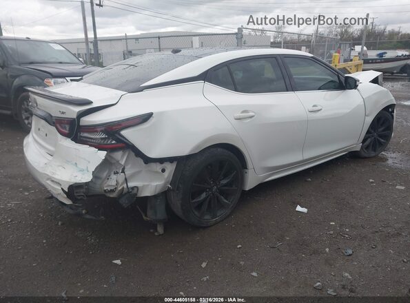 1N4AA6EV3PC503562 2023 NISSAN MAXIMA SR White Tył prawy