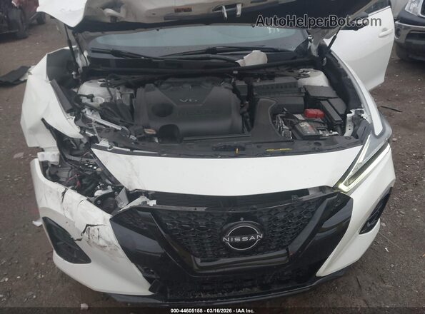 1N4AA6EV3PC503562 2023 NISSAN MAXIMA SR White Widok z tyłu