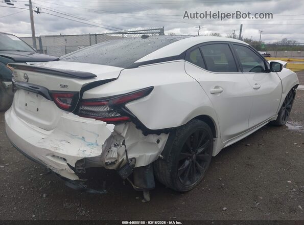 1N4AA6EV3PC503562 2023 NISSAN MAXIMA SR White 