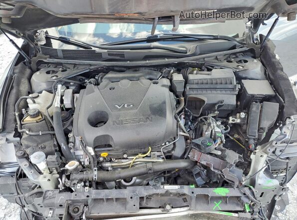 1N4AA6FV0PC503405 2023 NISSAN MAXIMA Gray 