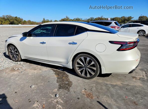 1N4AA6FV1PC507026 2023 NISSAN MAXIMA PLATINUM White Tył lewy