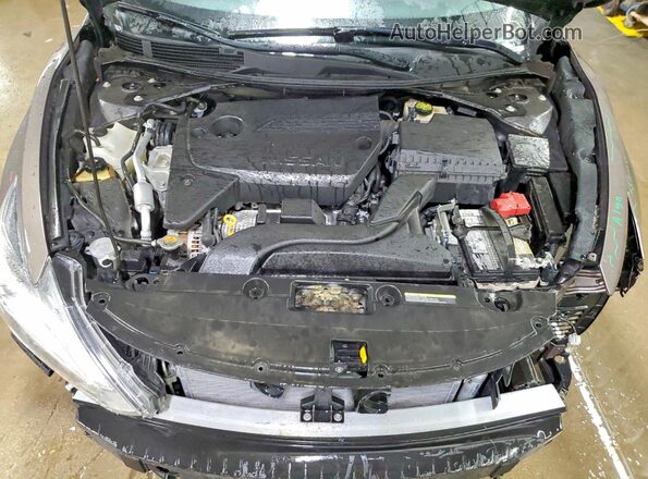 1N4AL3AP1GC156216 2016 NISSAN ALTIMA Tan Սալոնի հետևի տեսք