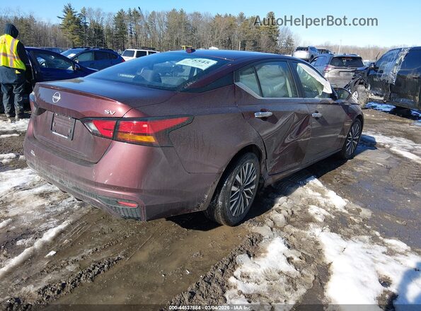 1N4BL4DV4PN379875 2023 NISSAN ALTIMA Maroon უკანა მარჯვენა