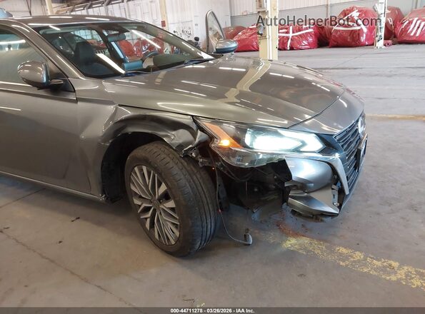 1N4BL4DV7PN354565 2023 NISSAN ALTIMA Серый 