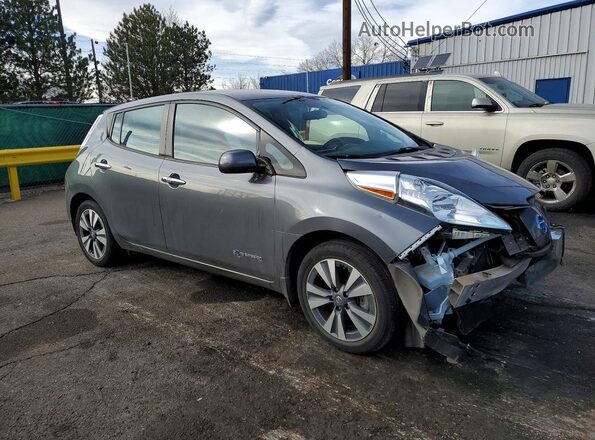 1N4BZ0CP4HC307310 2017 NISSAN LEAF Gray Առջևի աջ