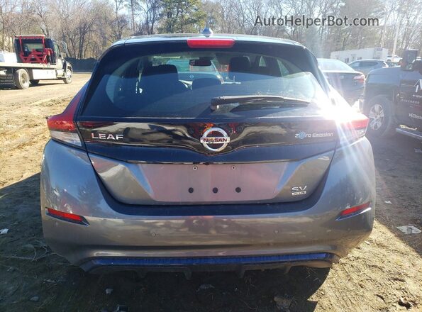 1N4BZ1CP4LC309556 2020 NISSAN LEAF Gray Հետևի տեսք
