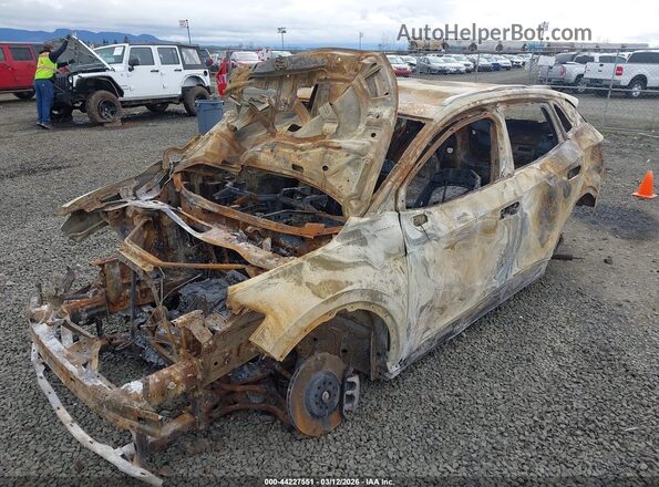 1V2DSPE84RC018613 2024 VOLKSWAGEN ID.4 Beige Widok z przodu