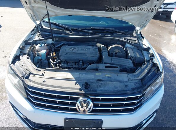 1VWAS7A39GC055231 2016 VOLKSWAGEN PASSAT Белый Вид сзади