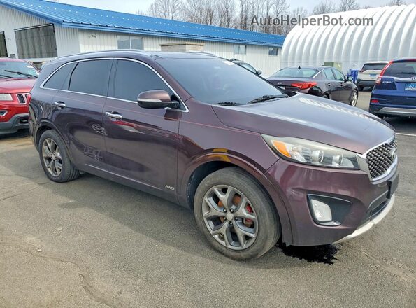 5XYPKDA54GG017303 2016 KIA SORENTO Purple 