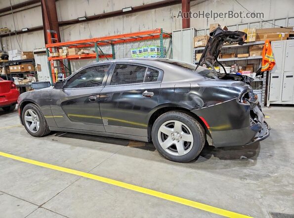 2C3CDXAT8MH625173 2021 DODGE CHARGER Gray უკანა მარცხენა