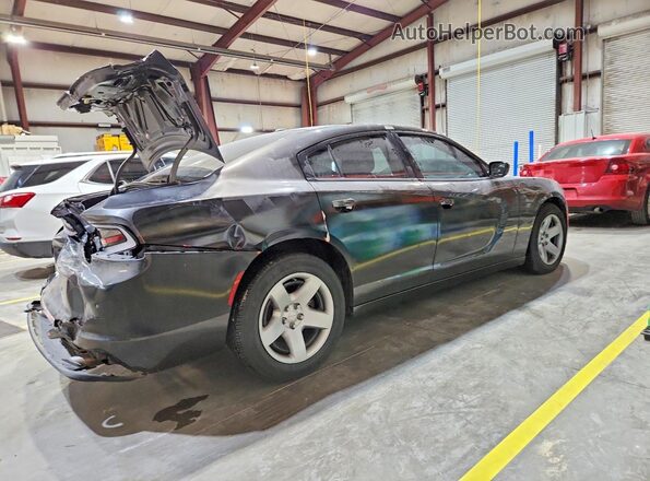 2C3CDXAT8MH625173 2021 DODGE CHARGER Gray უკანა მარჯვენა