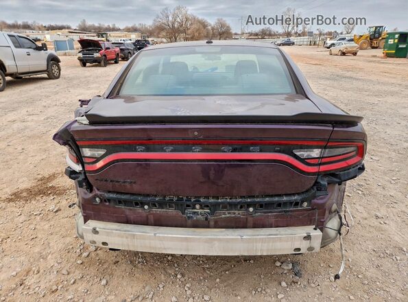 2C3CDXBG0LH157830 2020 DODGE CHARGER Фиолетовый Вид сзади