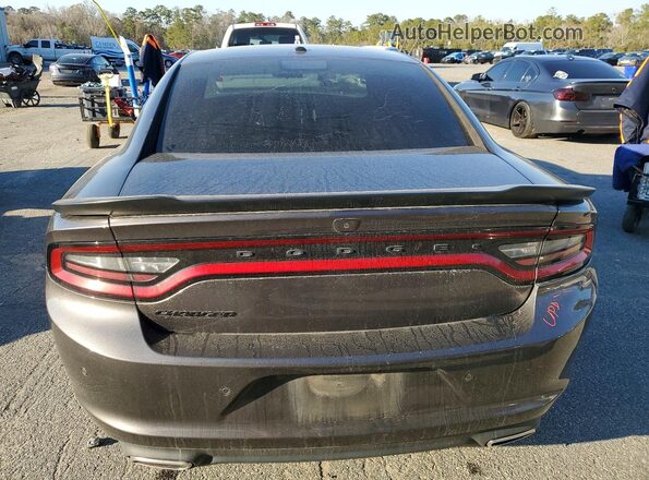2C3CDXBG0MH678192 2021 DODGE CHARGER Gray Հետևի տեսք