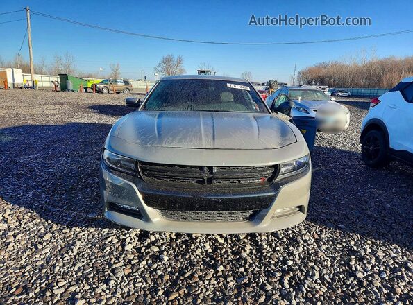 2C3CDXBG4KH664342 2019 DODGE CHARGER Gray 
