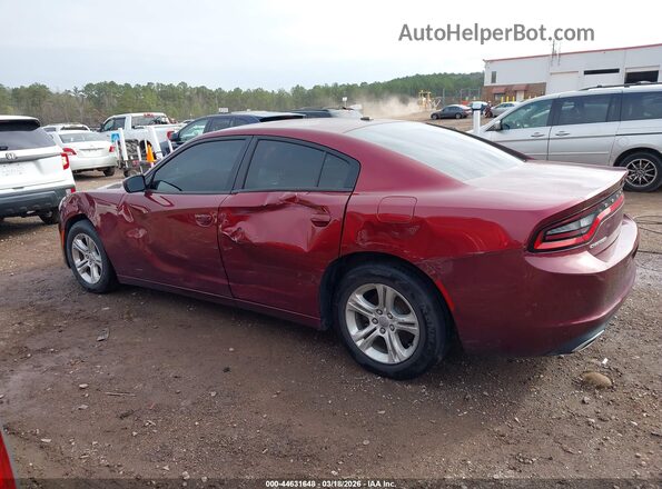 2C3CDXBG9LH134174 2020 DODGE CHARGER Бордовый Панорамный вид салона 360°