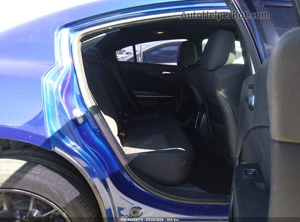 2C3CDXHG8KH561075 2019 DODGE CHARGER Blue Вид наклейки з VIN-кодом