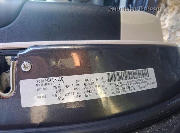 2C4RC1FG5KR505789 2019 CHRYSLER PACIFICA Gray Widok naklejki z numerem VIN