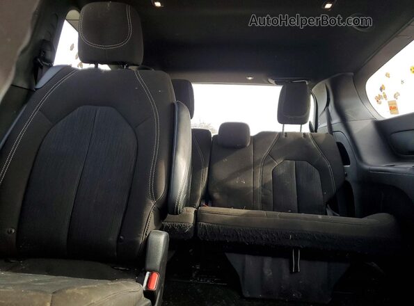 2C4RC1FG9MR593166 2021 CHRYSLER PACIFICA Blue Rear seats view
