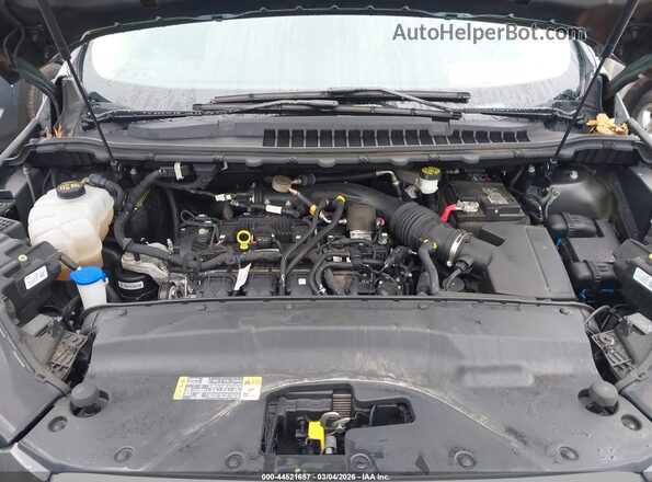 2FMPK3G96MBA55664 2021 FORD EDGE Gray უკანა ხედი