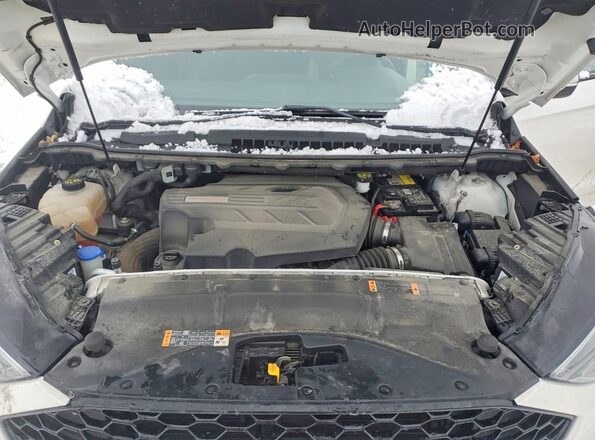 2FMPK4AP2KBB09293 2019 FORD EDGE White 