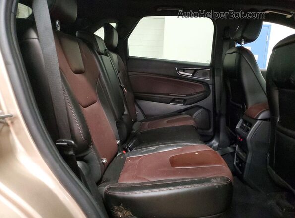 2FMPK4K97MBA08866 2021 FORD EDGE Tan Սալոնի հետևի տեսք