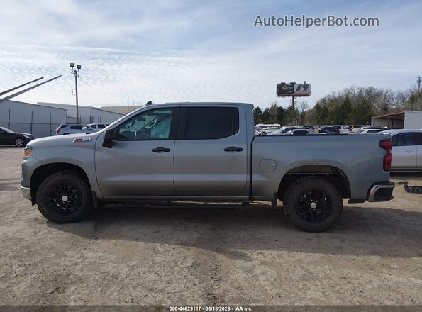2GCUDAED4R1157555 2024 CHEVROLET SILVERADO Серый Панорамный вид салона 360°