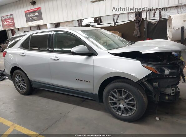 2GNAXLEX1K6135237 2019 CHEVROLET EQUINOX Gray Սալոնի հետևի տեսք