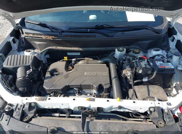 2GNAXUEV7L6202560 2020 CHEVROLET EQUINOX Белый Вид сзади