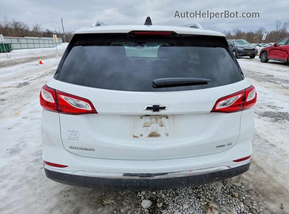 2GNAXUEV9M6137437 2021 CHEVROLET EQUINOX White Հետևի տեսք