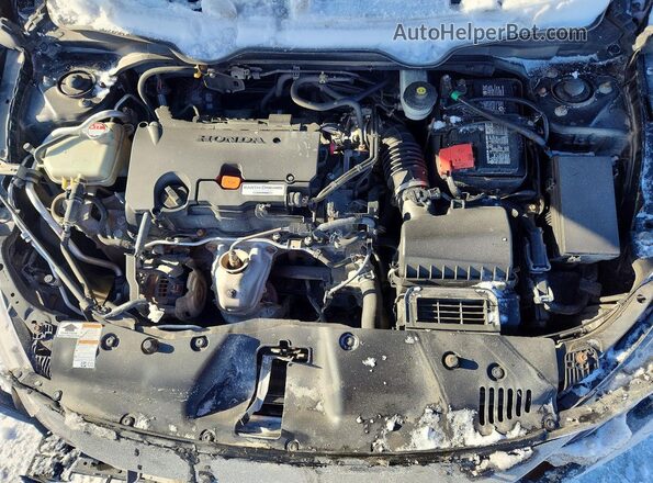 2HGFC2F57MH007465 2021 HONDA CIVIC Black Вид задньої частини салону